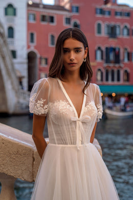A-Line Wedding Dress with V-Neck Bodice and Sheer Short Sleeves