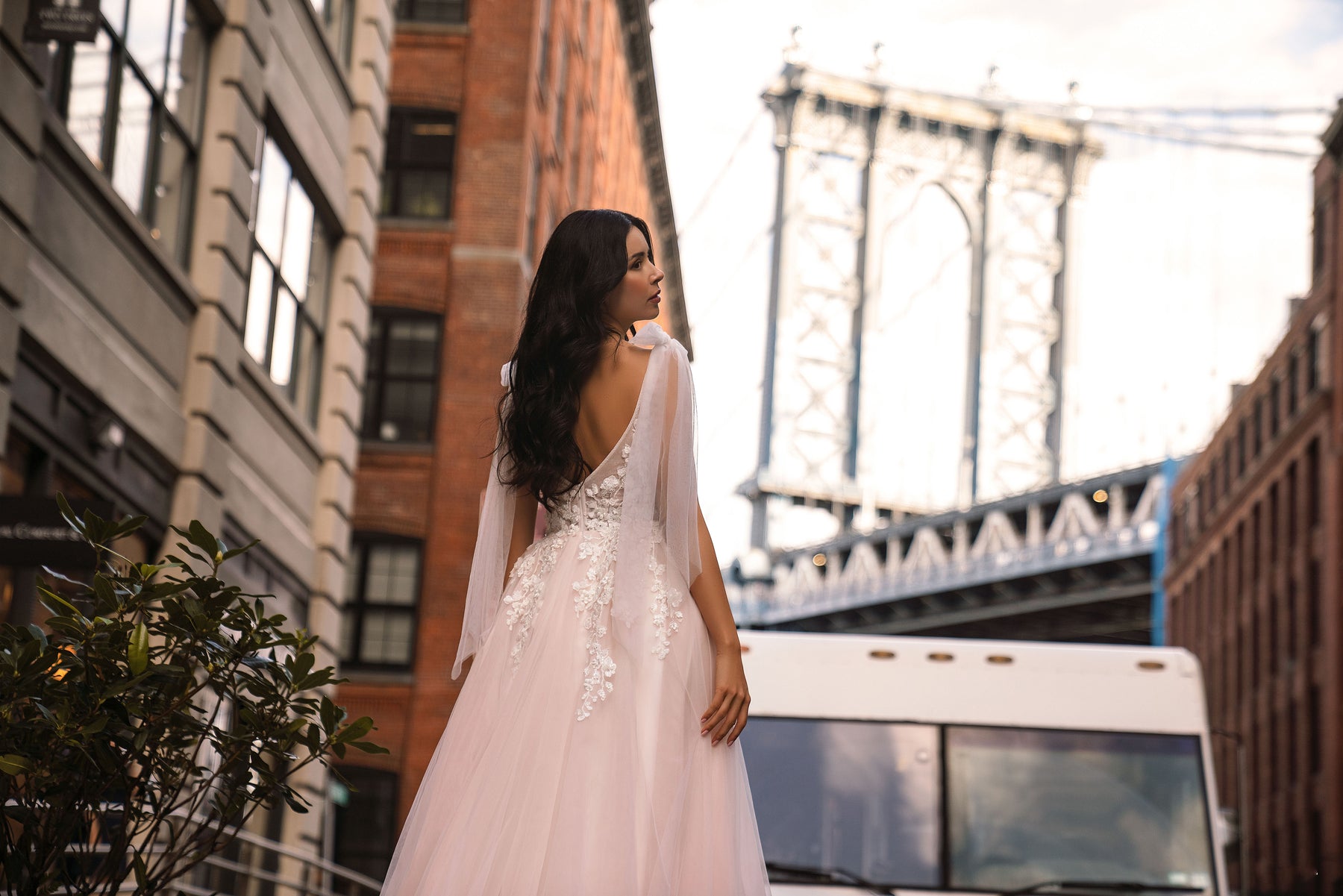 Blush Tulle A-Line Wedding Dress with Floral Lace Appliqués