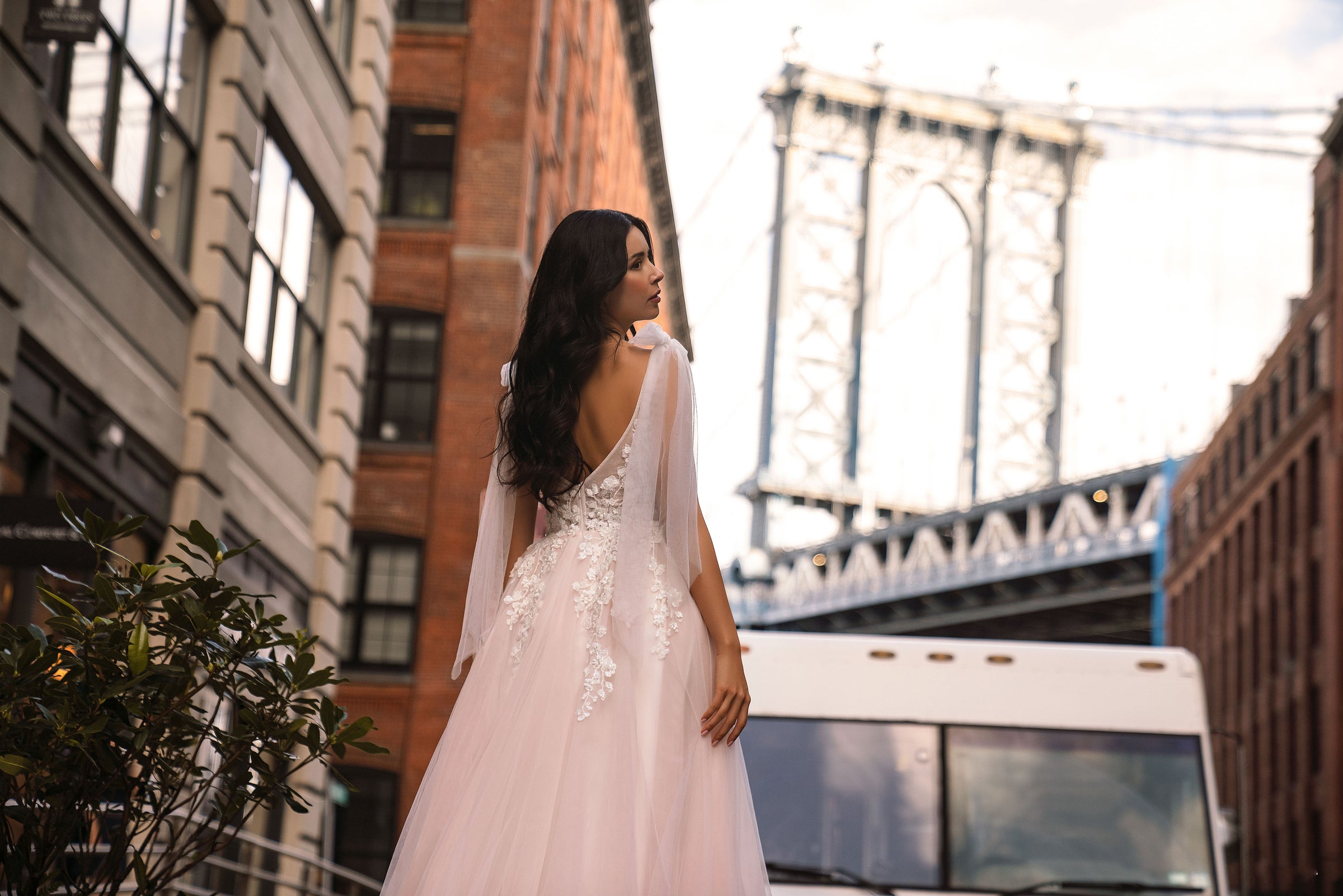 Blush Tulle A-Line Wedding Dress with Floral Lace Appliqués