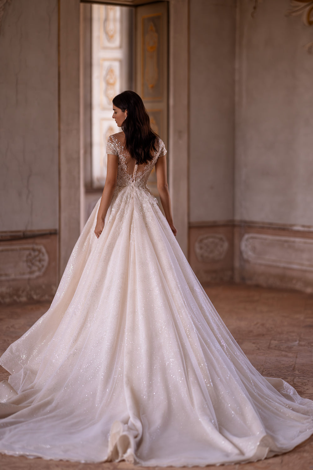 Sparkling Ballgown Wedding Dress with Short Sleeves, Buttons at the Back, and Cathedral Train