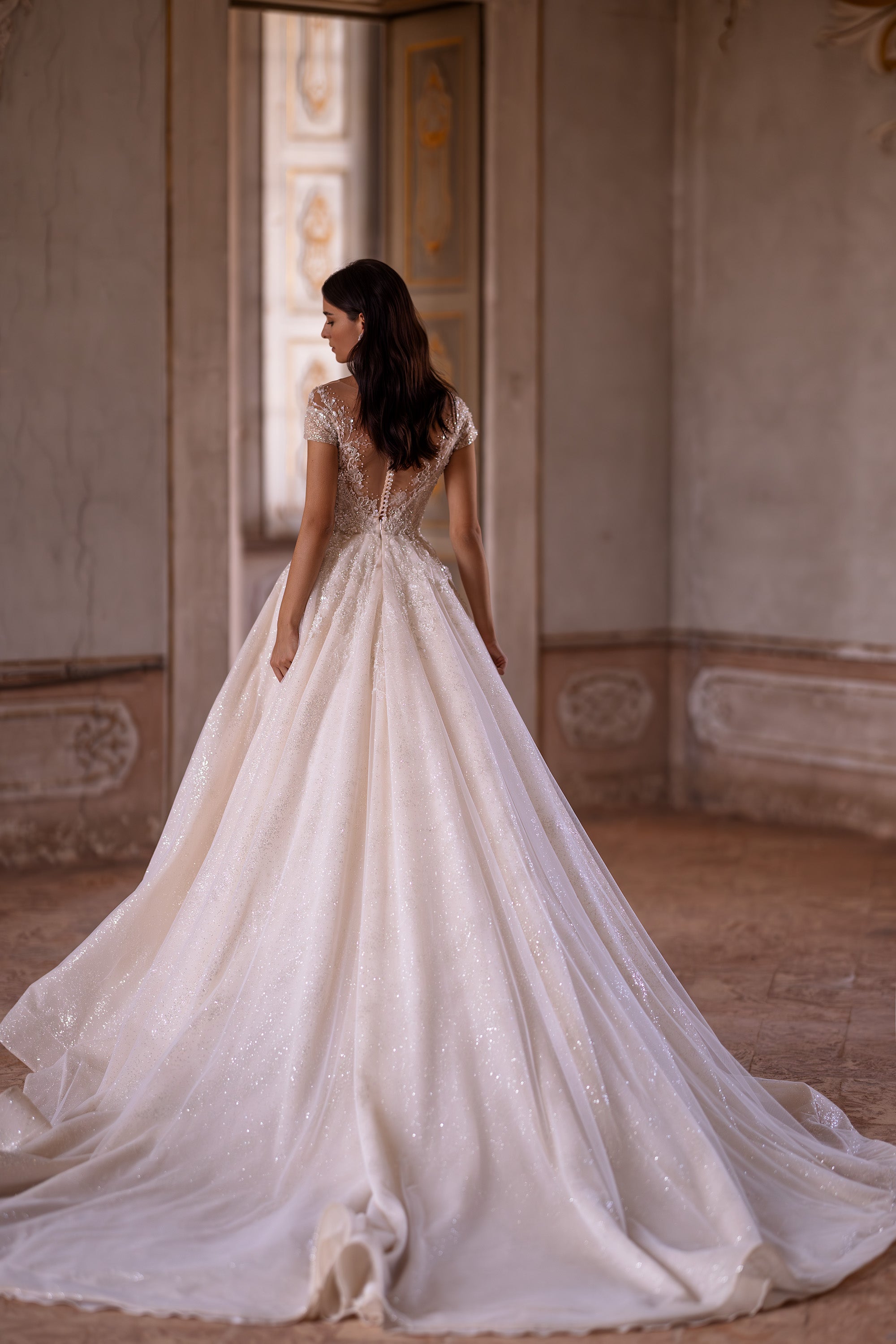 Sparkling Ballgown Wedding Dress with Short Sleeves, Buttons at the Back, and Cathedral Train