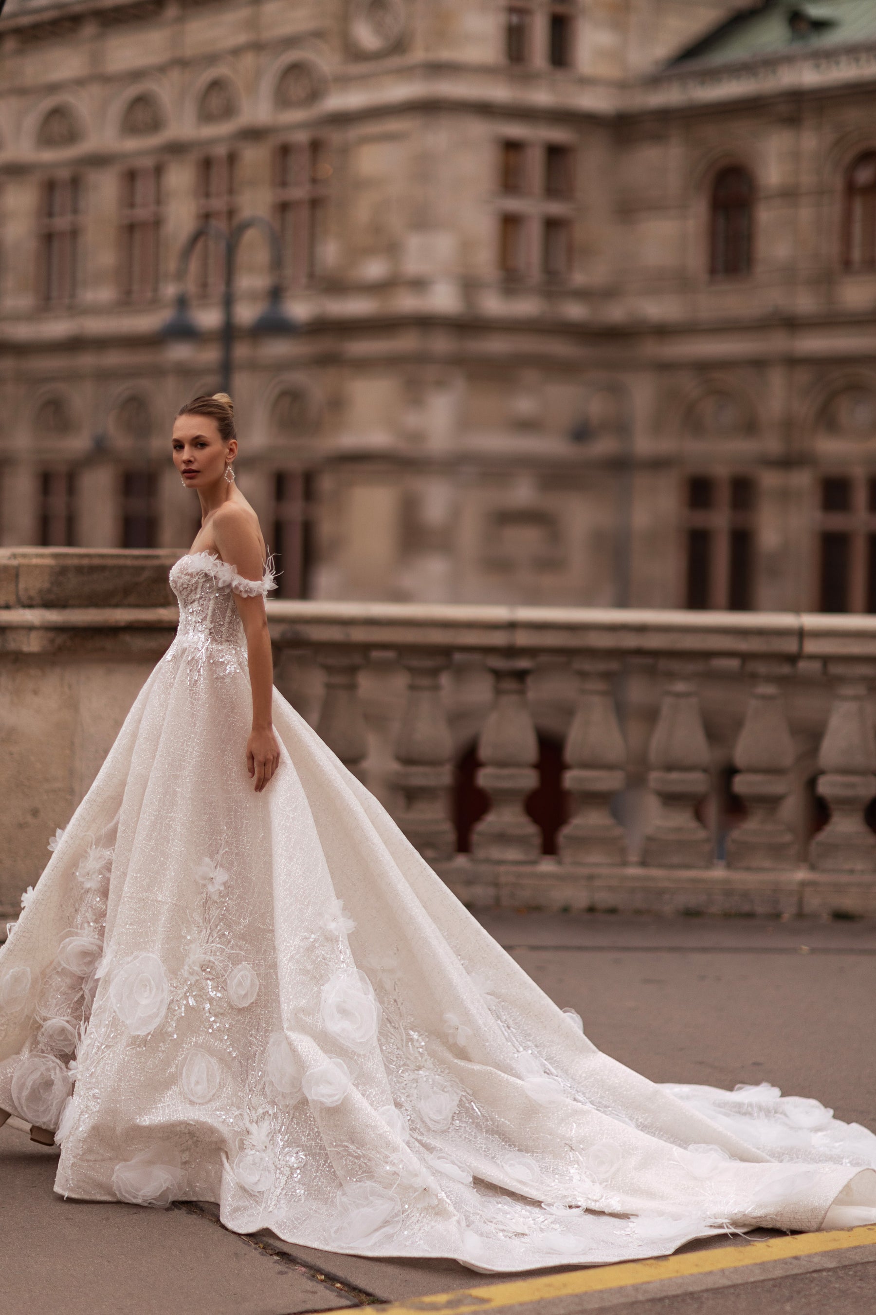 Ball Gown Wedding Dress with Off-the-Shoulder Neckline, Sparkle Tulle, 3D Floral Lace Appliqués, Beading, Cathedral Train