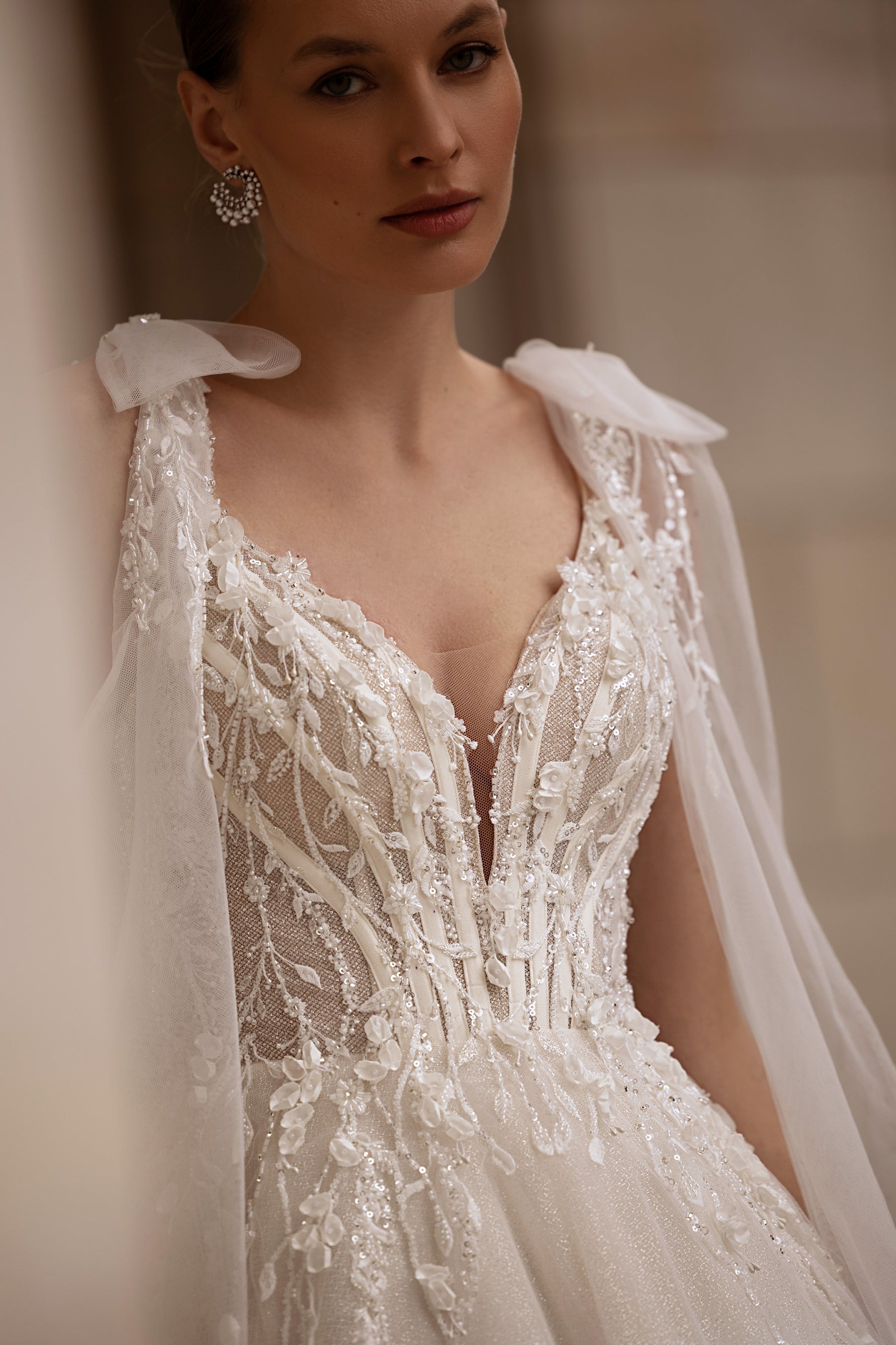 Ball Gown Wedding Dress with Lace Appliqués, Beading and Embroidery, V-Neck Illusion Bodice, Tulle Skirt, Cathedral Train
