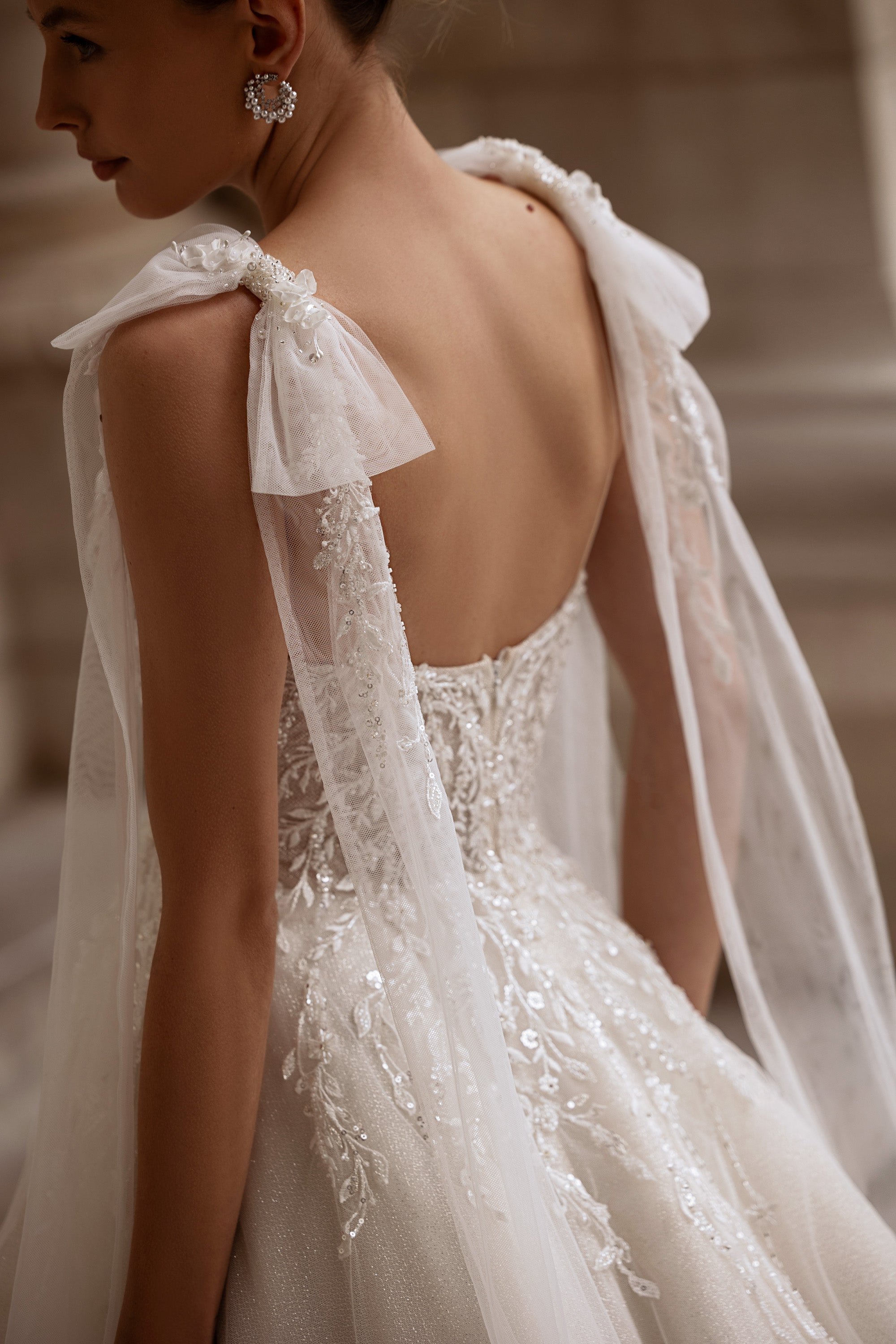 Ball Gown Wedding Dress with Lace Appliqués, Beading and Embroidery, V-Neck Illusion Bodice, Tulle Skirt, Cathedral Train