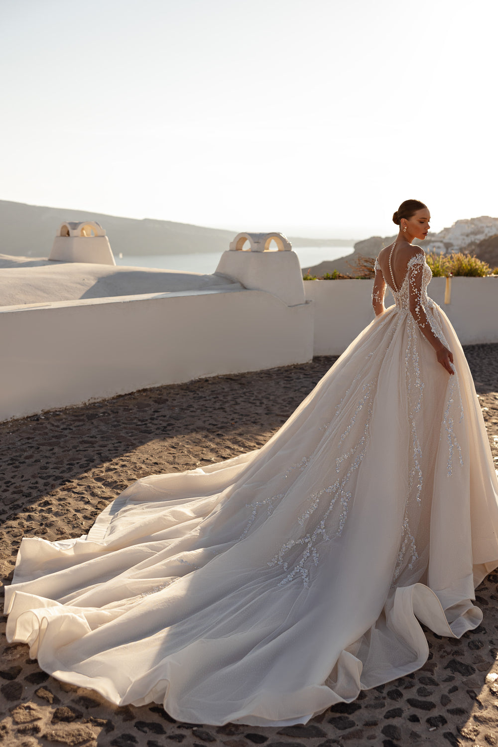 Ball Gown Wedding Dress with Illusion Sleeves and Beading