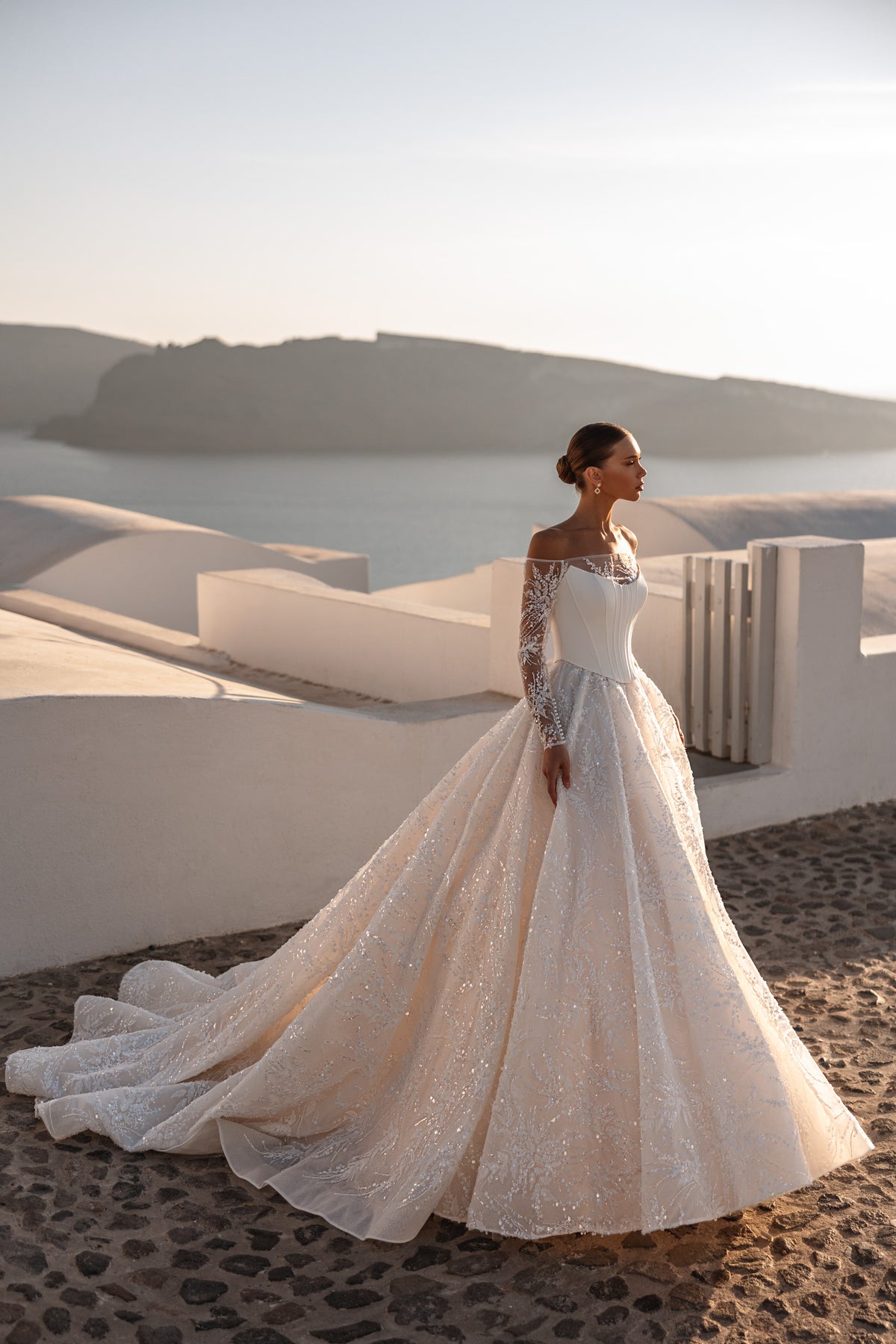 Ivory ball gown wedding dress with sheer lace sleeves, sparkling full skirt, and sweeping train