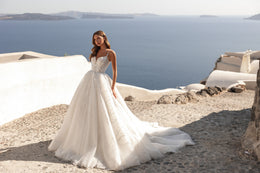 Ivory A-line wedding dress with a beaded lace bodice, full skirt, and long trailing train