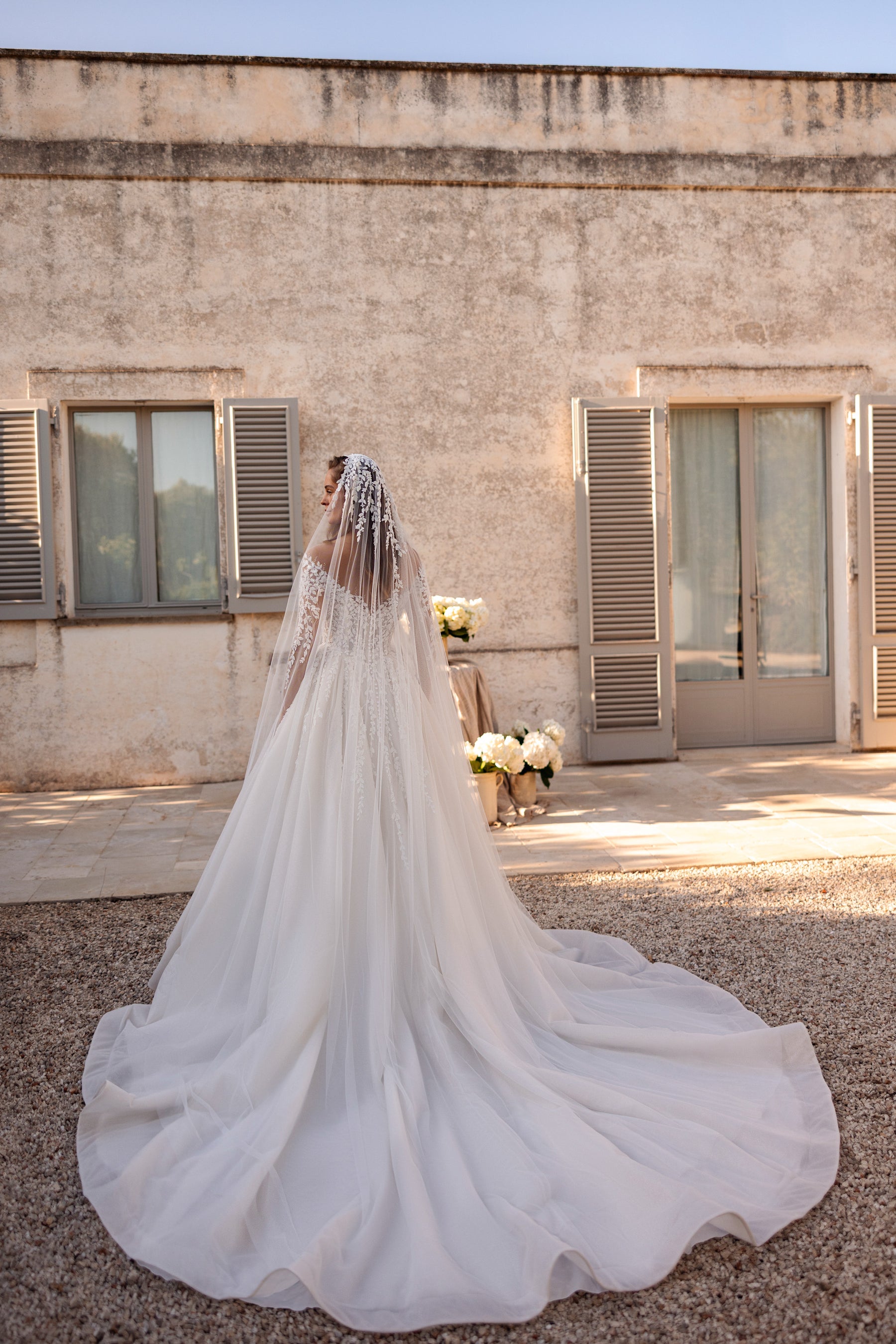 Sparkly A-Line Wedding Dress with Illusion Lace Sleeves