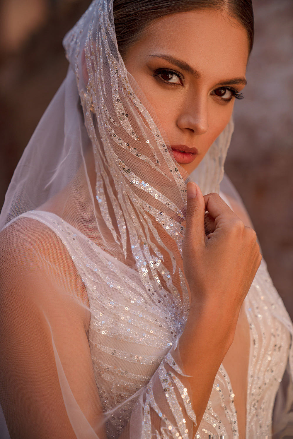 Sparkling Embroidered Wedding Veil in Sheer Tulle