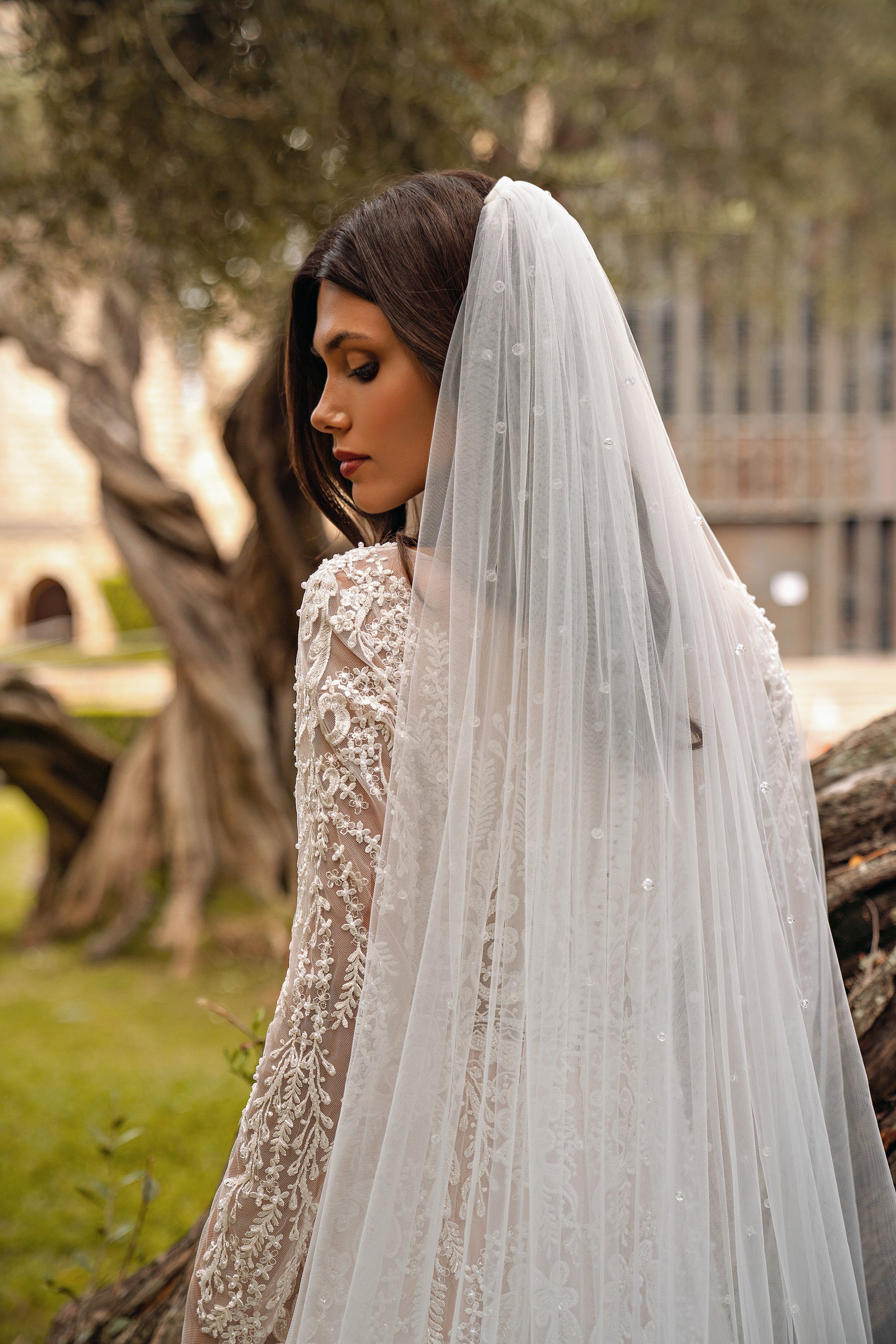 A-Line Wedding Dress with V-Neck and Long Lace Sleeves