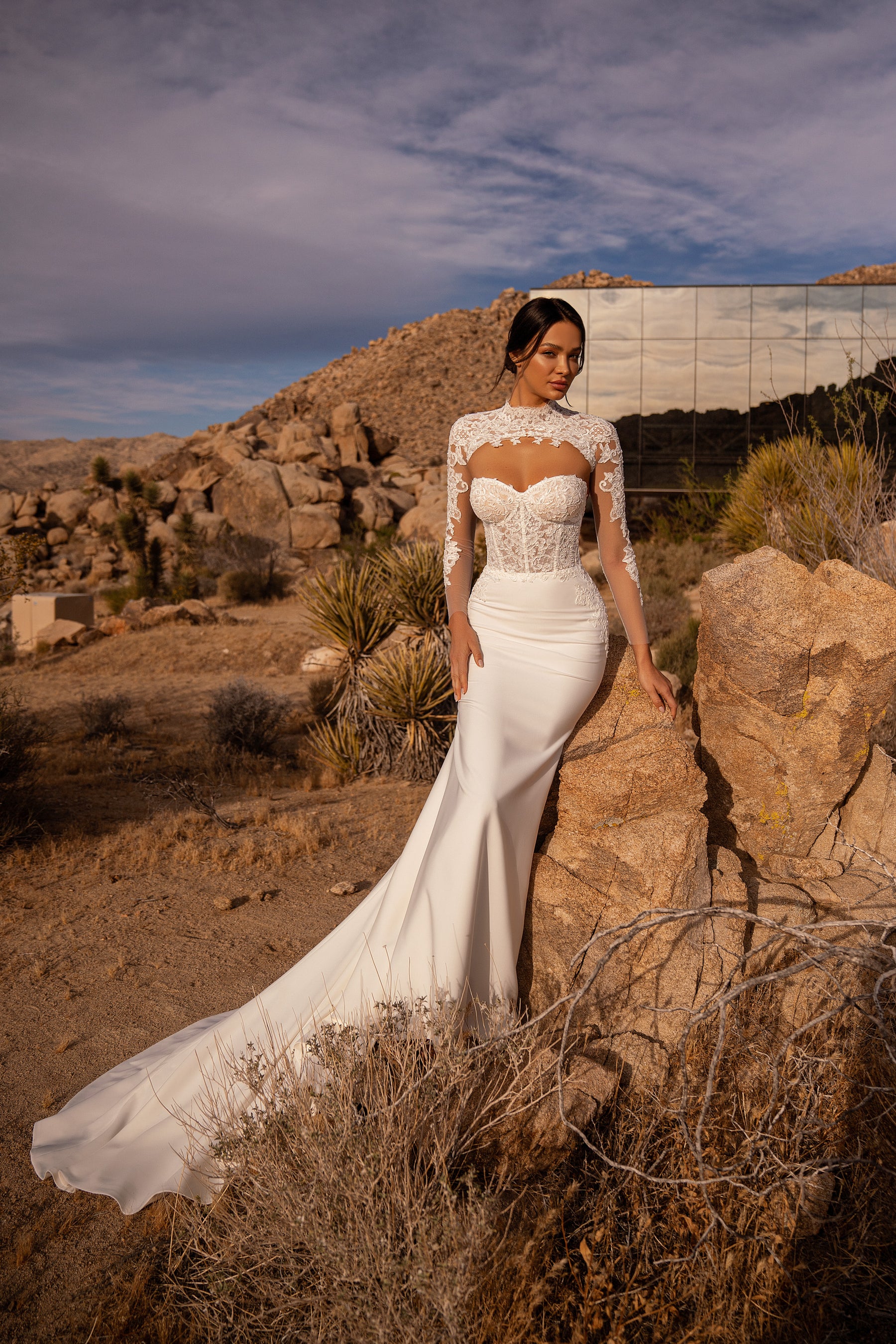 Mermaid Wedding Dress with Illusion Lace High Neck and Long Sleeves
