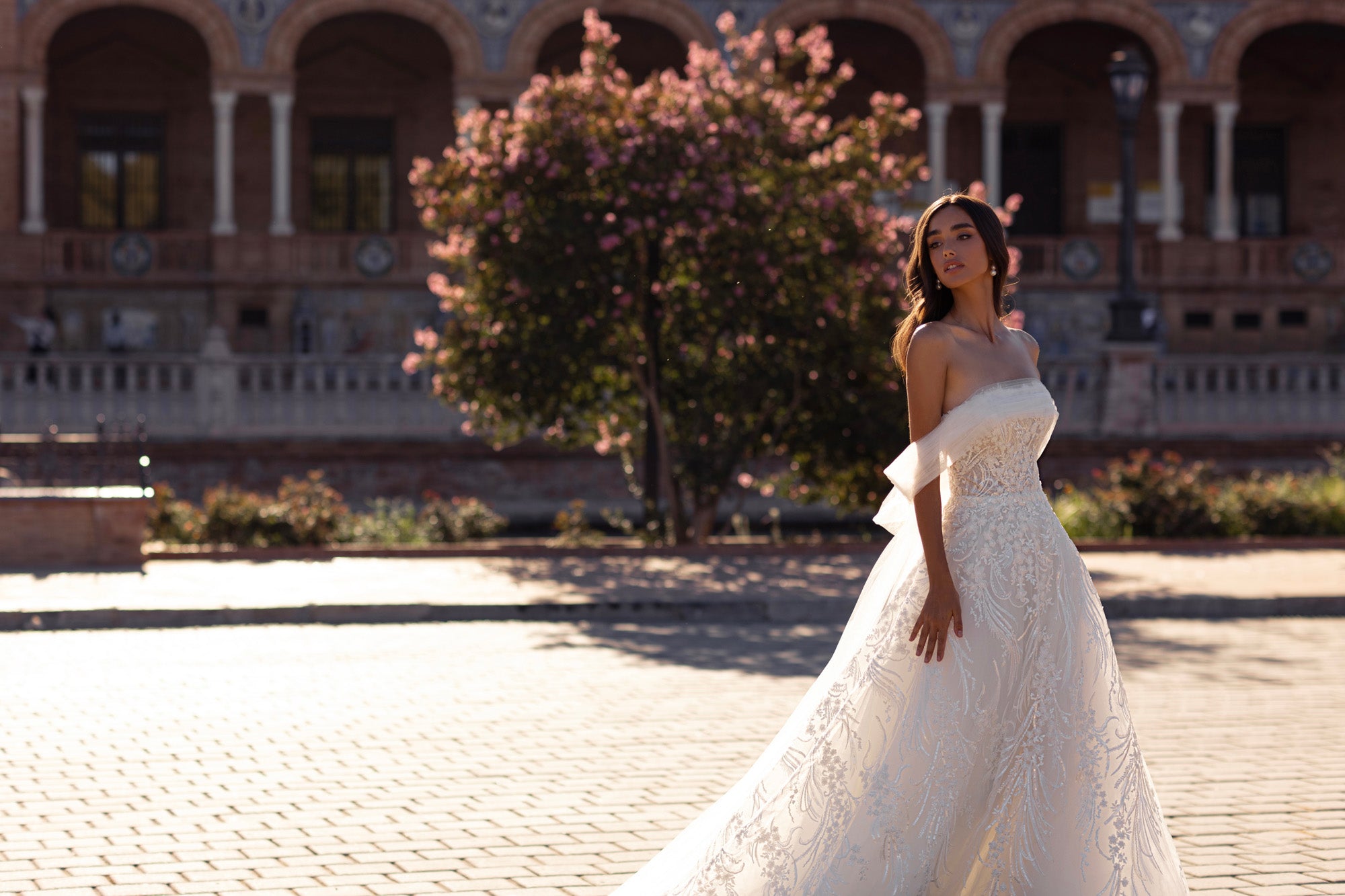 A-Line Wedding Dress with Off-the-Shoulder Tulle Cape