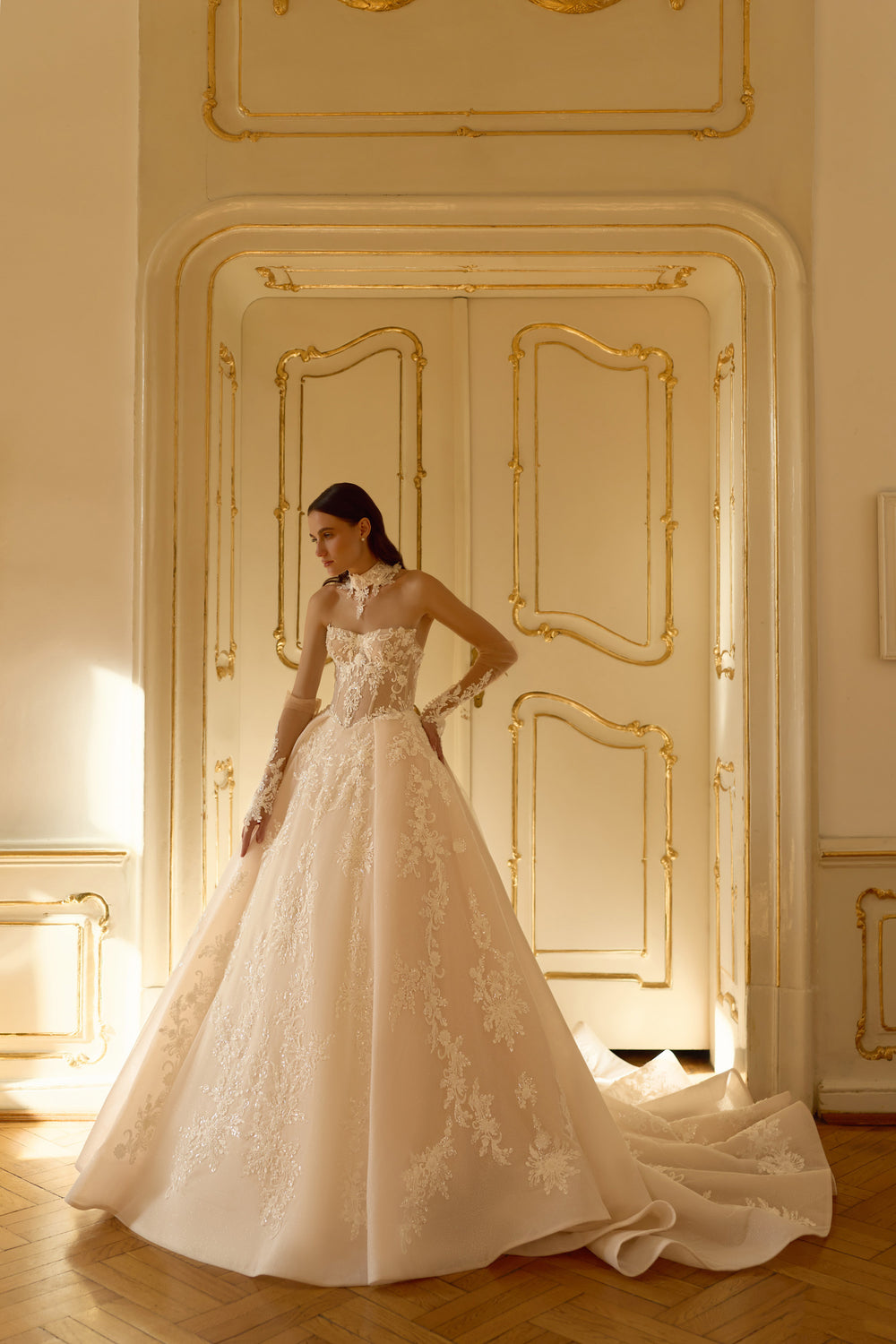 Luxury Ball Gown Wedding Dress with Detachable Lace Choker