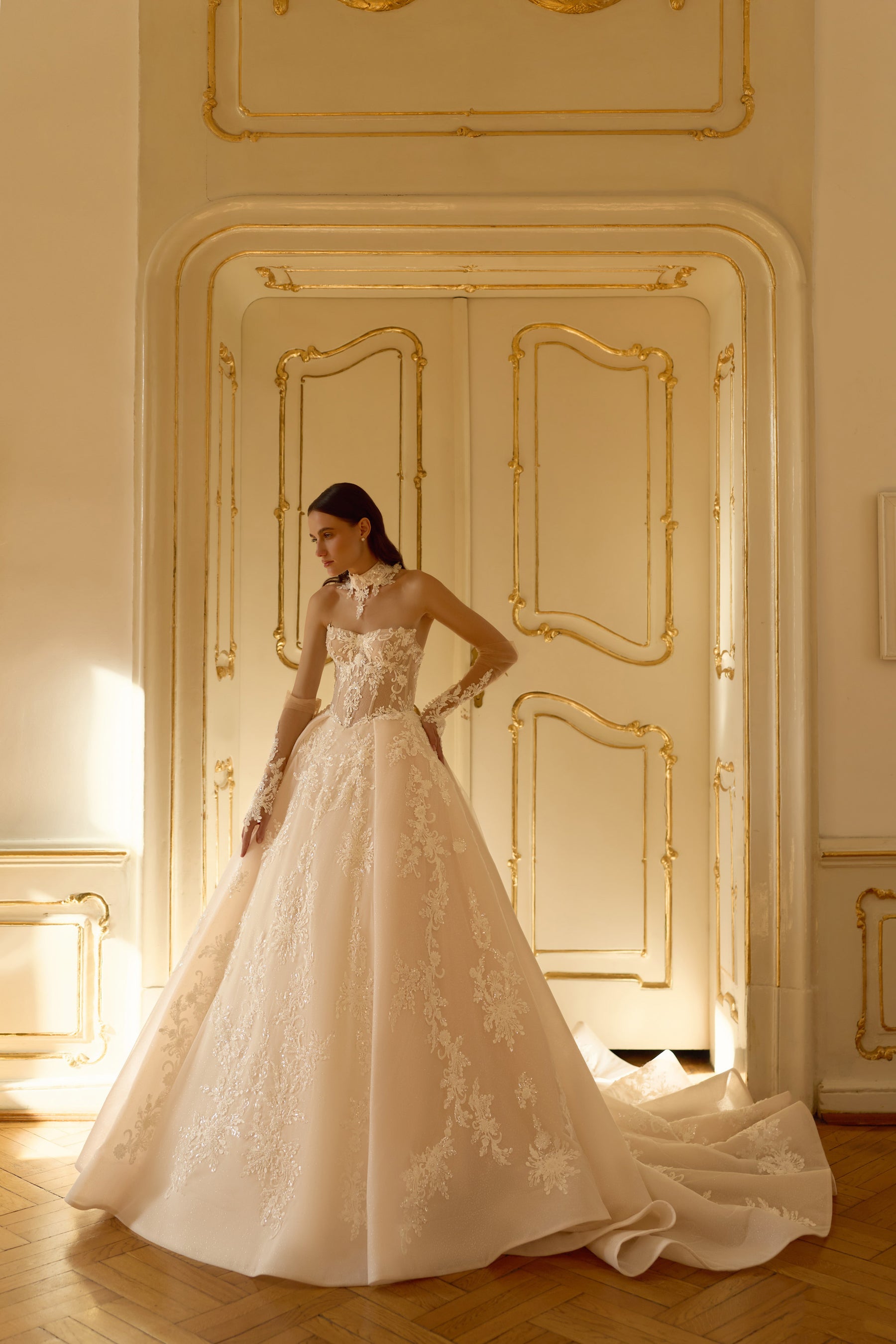 Luxury Ball Gown Wedding Dress with Detachable Lace Choker