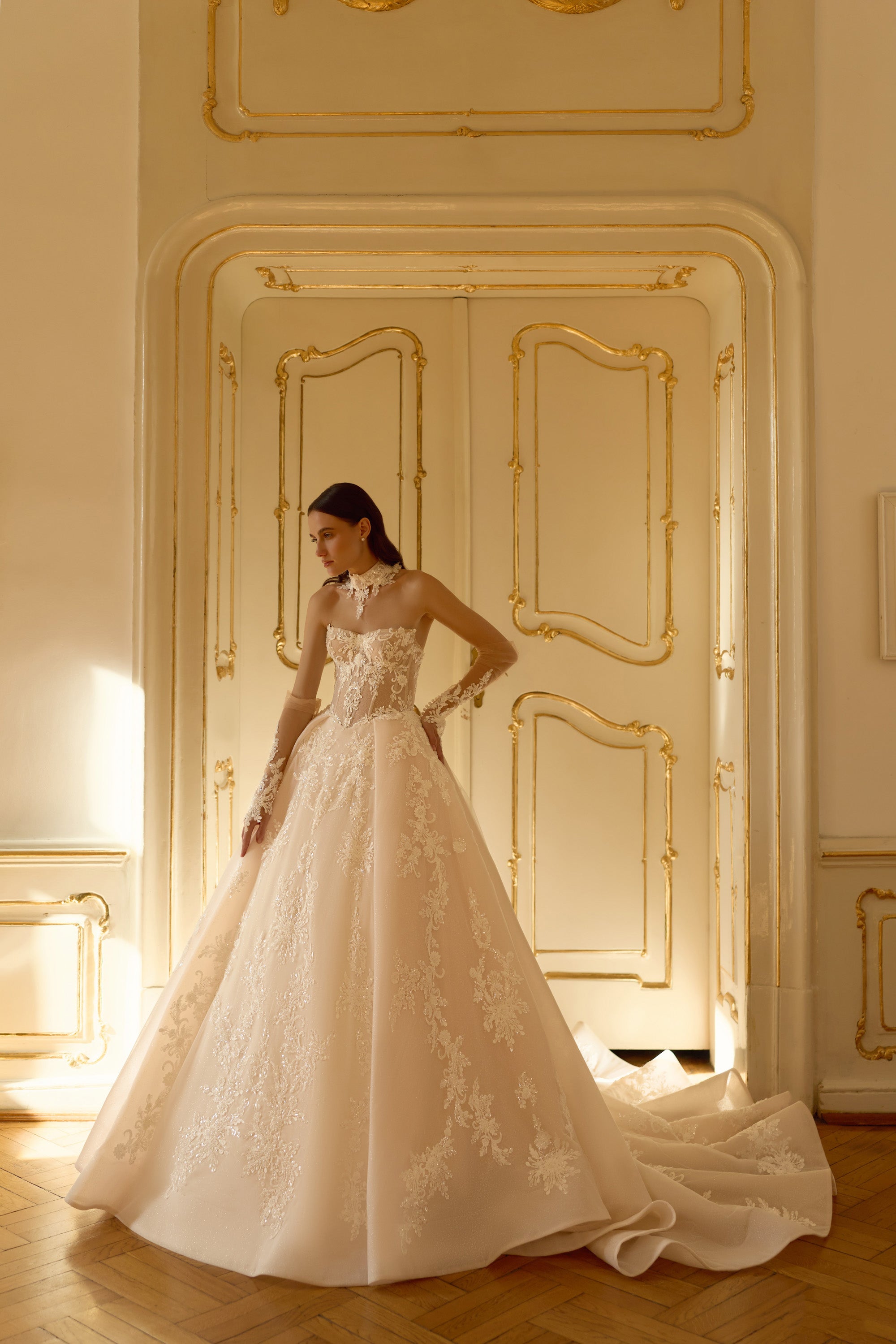 Luxury Ball Gown Wedding Dress with Detachable Lace Choker