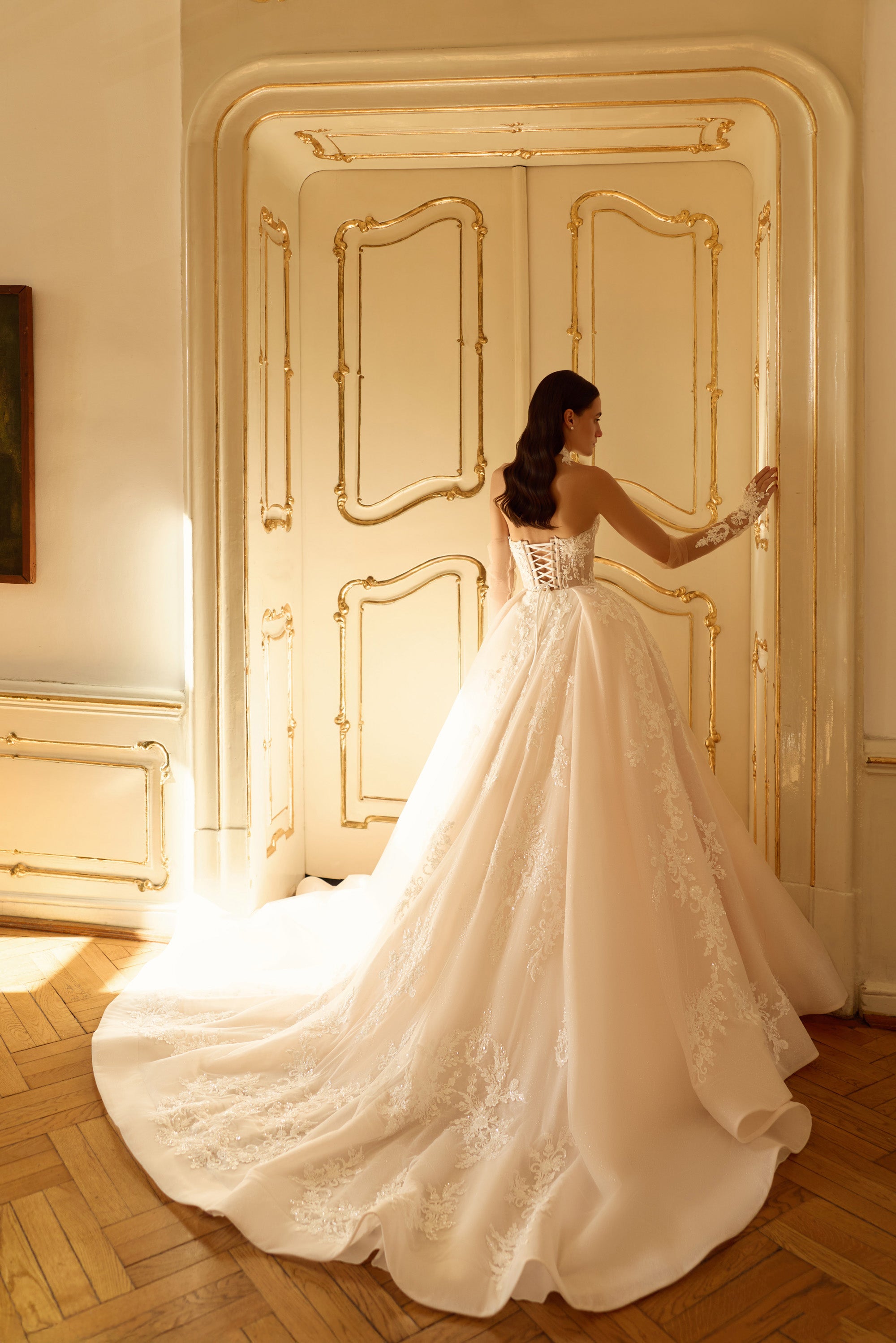 Luxury Ball Gown Wedding Dress with Detachable Lace Choker