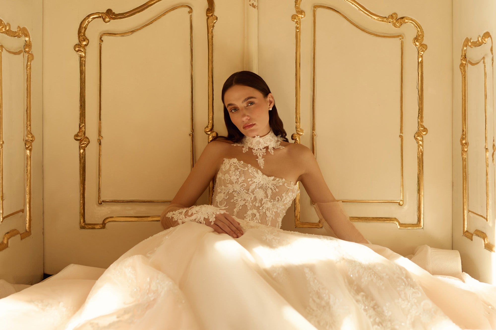 Luxury Ball Gown Wedding Dress with Detachable Lace Choker