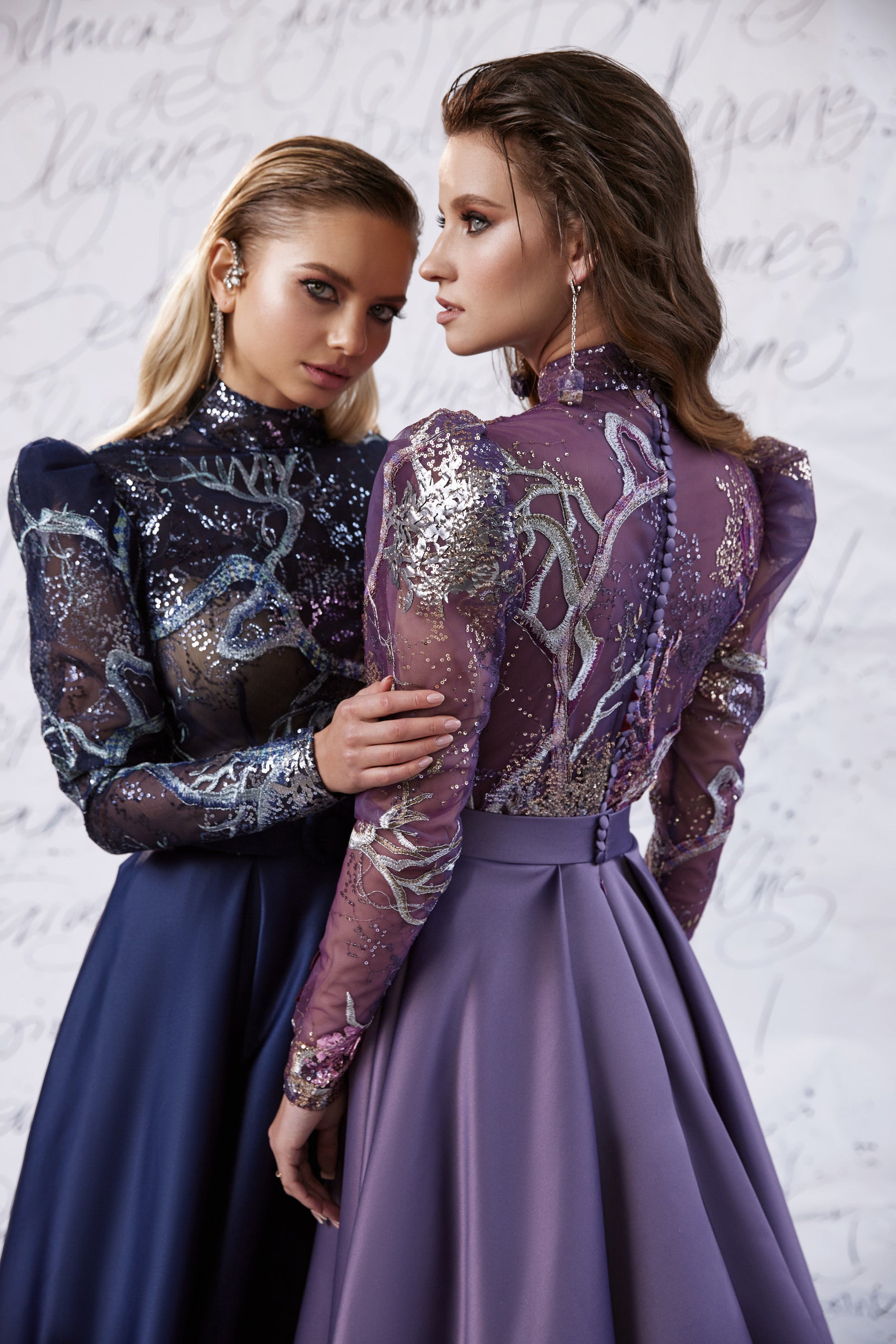 Mauve evening dress showing a sparkling sheer long-sleeve back, high neckline, and defined waist