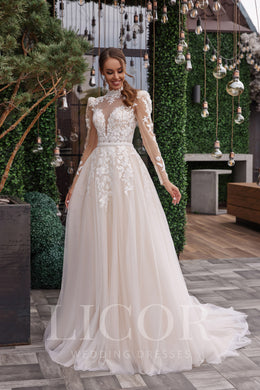Ball Gown Wedding Dress With Lace Appliqués, High Illusion Neckline, Long Lace Sleeves, Tulle Skirt, Illusion Back, Cathedral Train