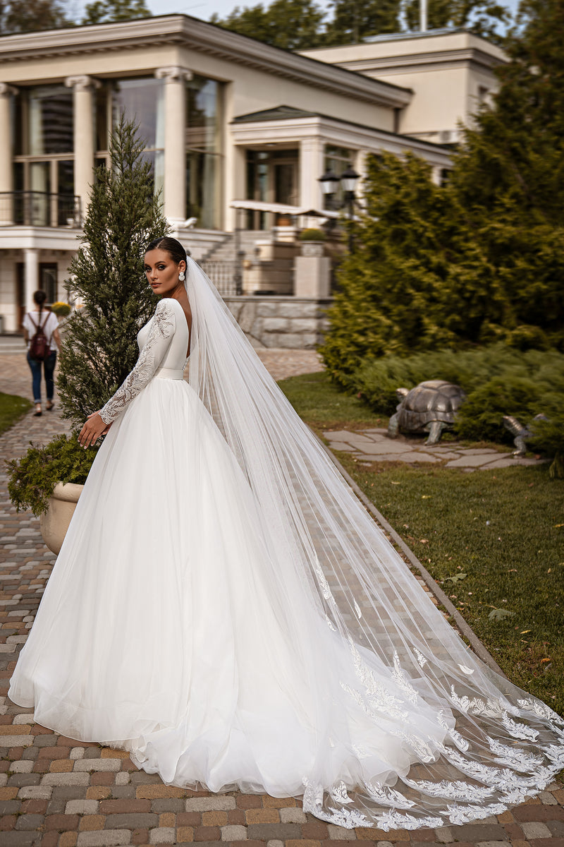 A-Line Wedding Dress with Plunging V-Neck and Beaded Lace Sleeves