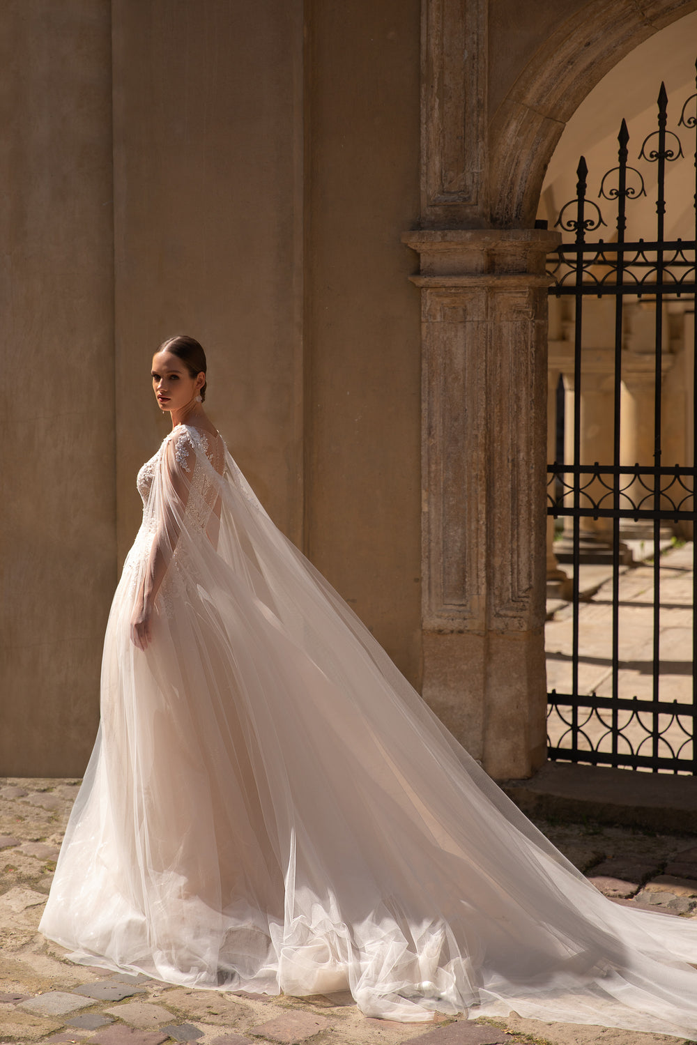 Elegant A-Line Tulle Bridal Dress with Long Wings, Deep V-Neck, and Lace Top